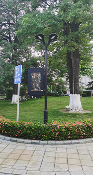 Smart Streetlight Project for Municipal Parks in China